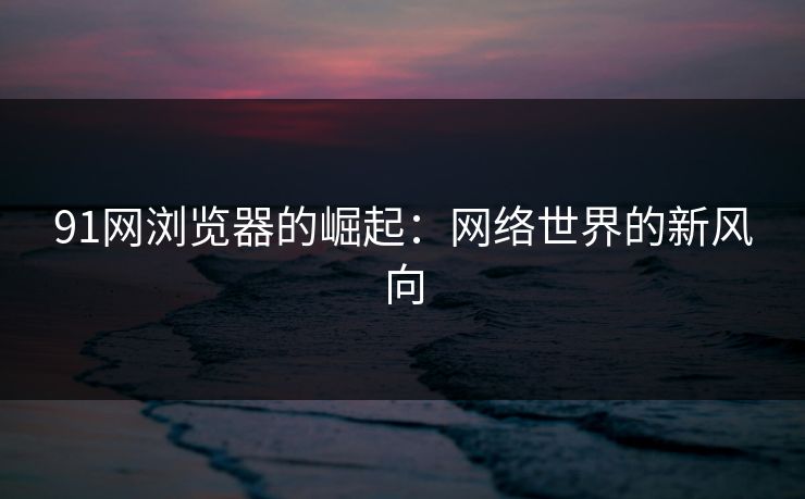 91网浏览器的崛起：网络世界的新风向