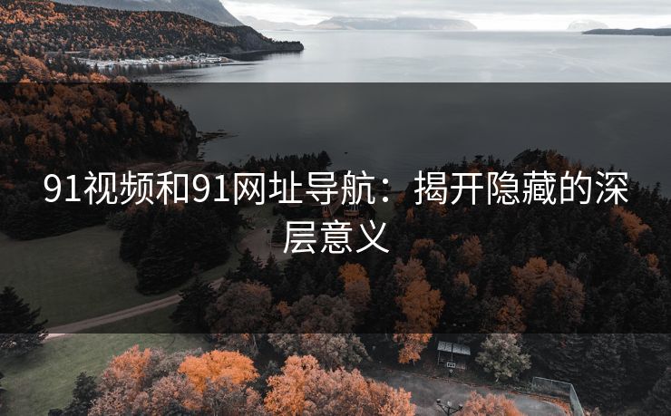 91视频和91网址导航：揭开隐藏的深层意义